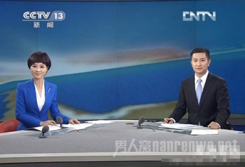 网传2013年胡蝶整容效果图