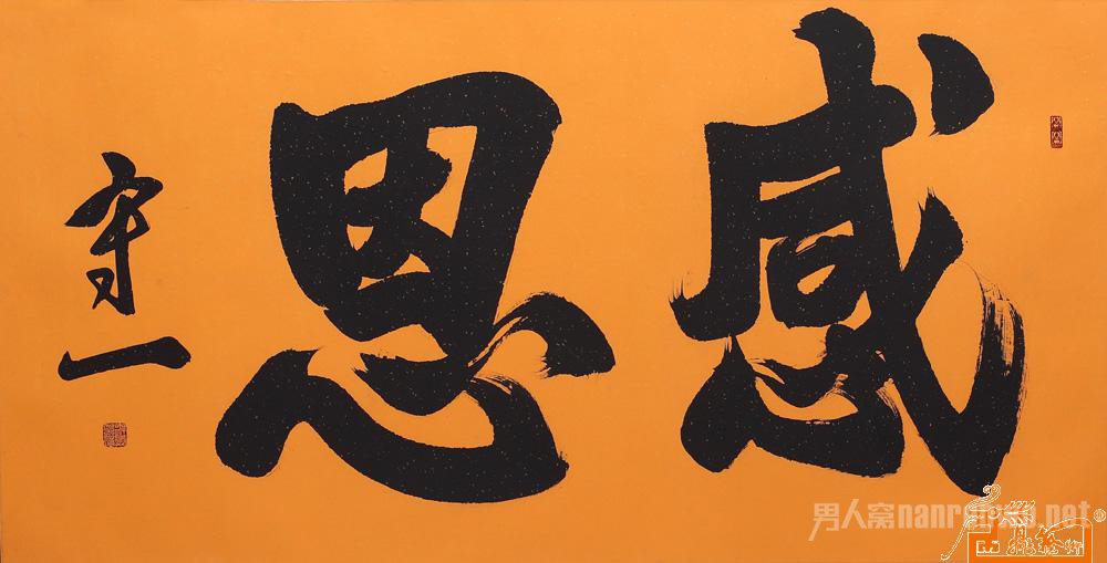 感悟生命，感恩生活