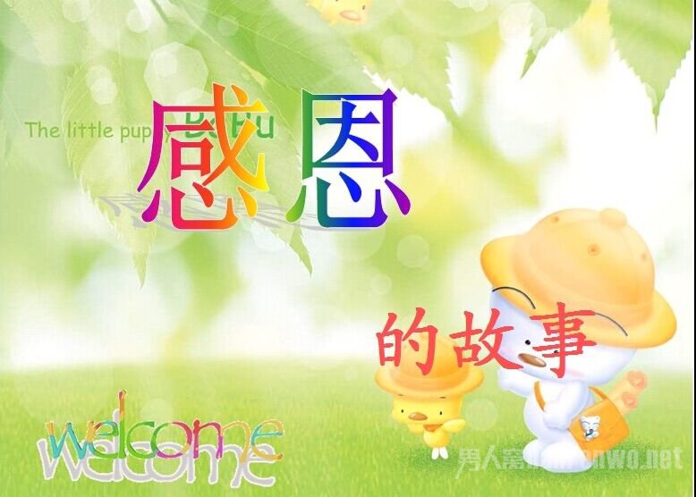 关于感恩的故事