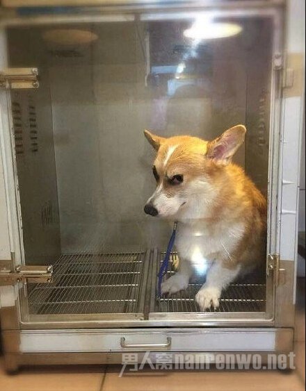 今天我就算变成厉鬼(hot dog)，也会回来找你的!!