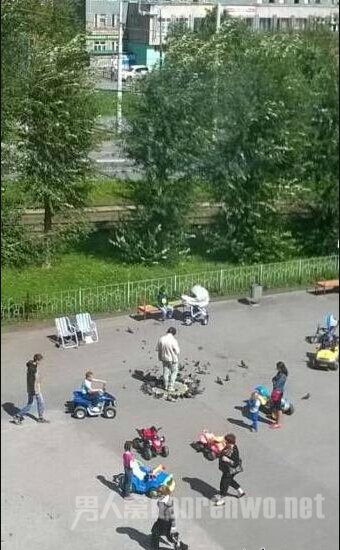 　鸽子召唤术!