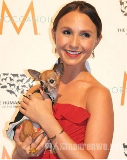 �����ȡ���¡����