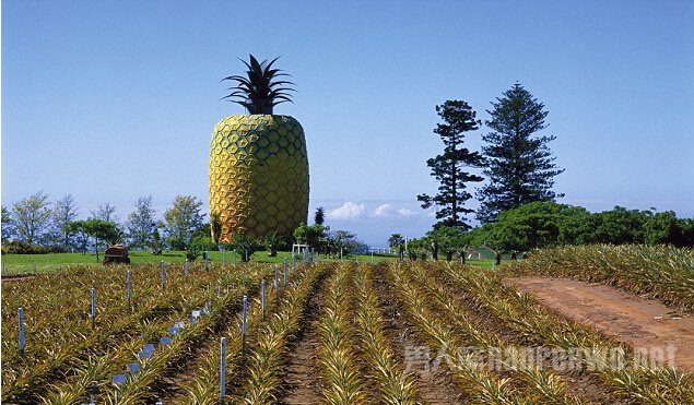 �ϷǾ��Ͳ���