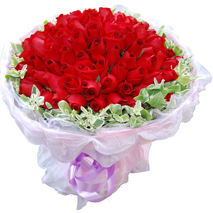 玫瑰花