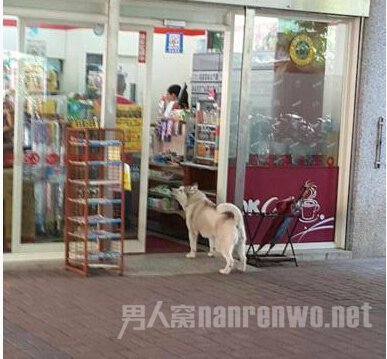 ��ʿ����