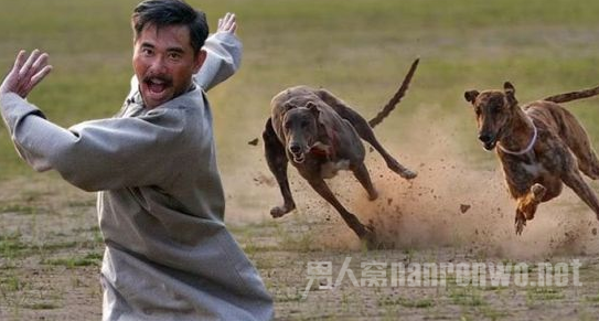 赵文瑄狂野