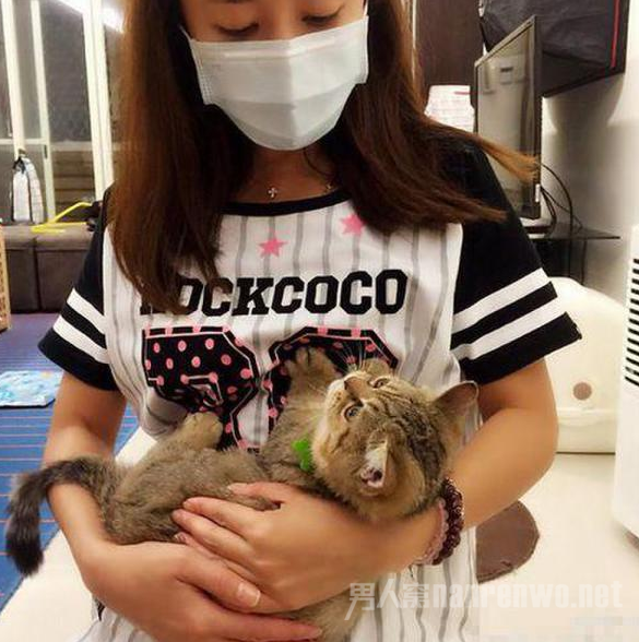 �����籧è