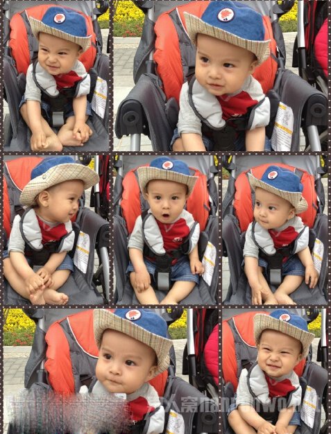 �������������