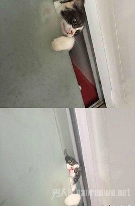家里养了个偷窥狂
