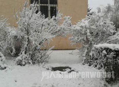 一名高三学生受伤被冻死