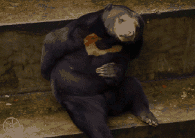 һ