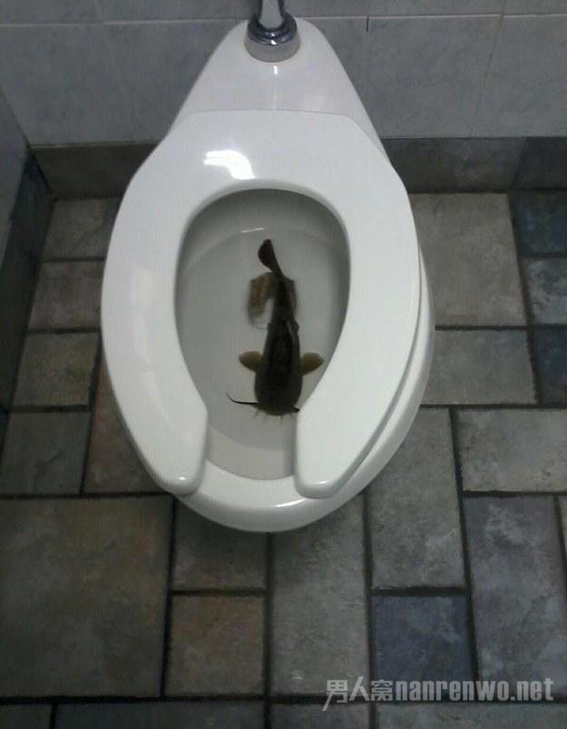 ʵĽ