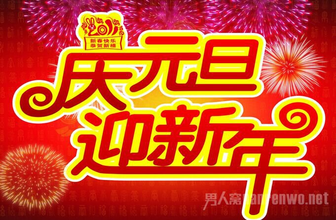 庆元旦作文