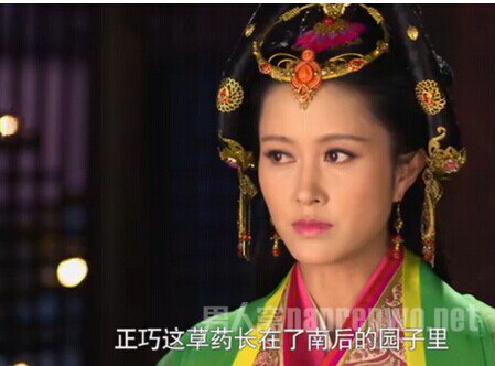 郑袖阴险狡诈