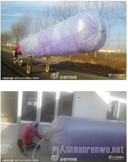ŵ綯