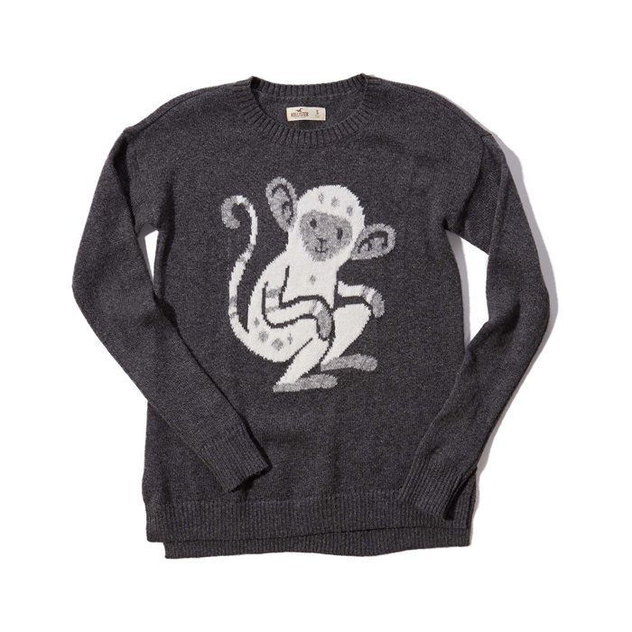 Hollister CNYϵT
