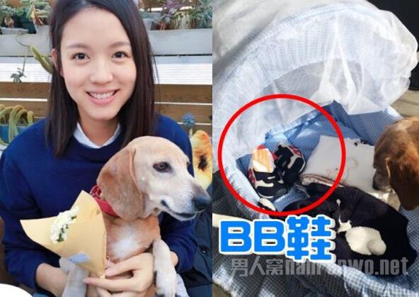 张梓琳晒BB鞋确认怀孕