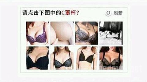 抢票验证码就像在玩“来找茬”