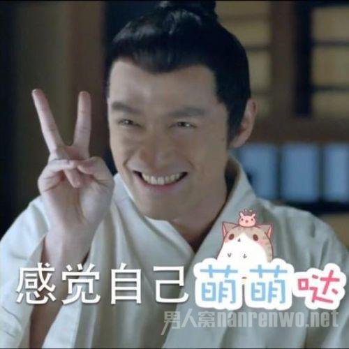 胡歌人气飙升成晚会抢手货