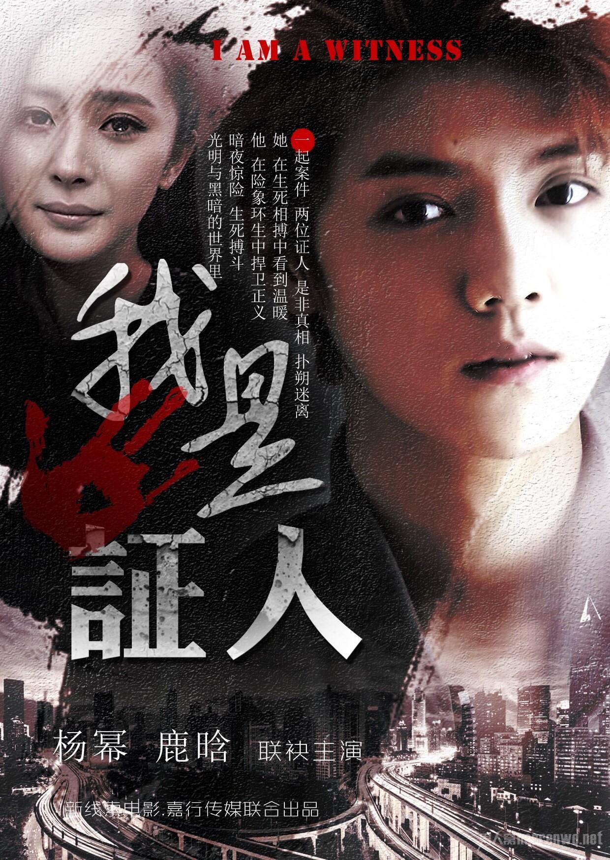 《我是证人》
