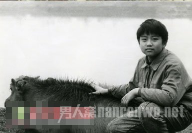 �˳�������׬Ǯ