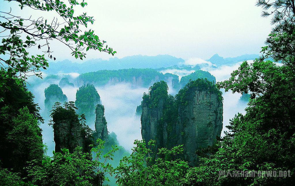Դ羰ʤ