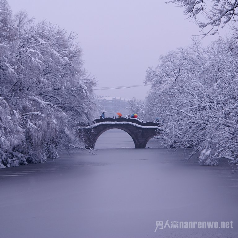 断桥残雪
