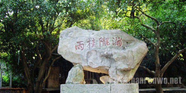满陇桂雨