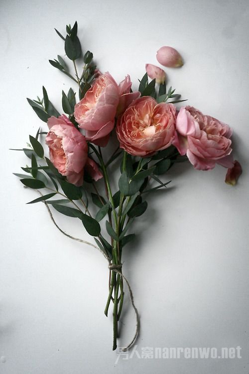 鲜花