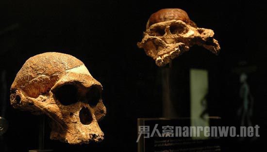 ҡ(Cradle of Humankind)