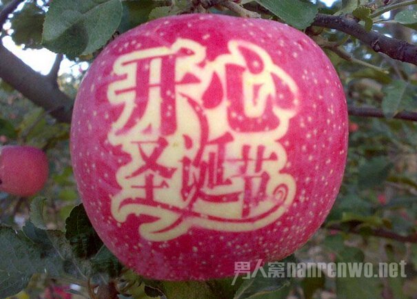 平安夜最贵“平安果”176元
