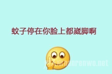 　蚊子停在
