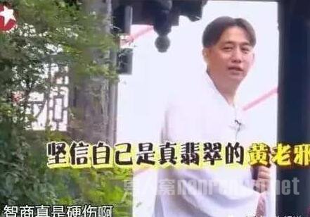 黄磊智商高被称赞