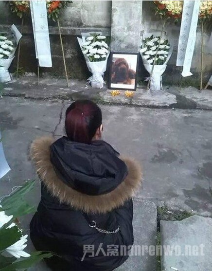 Ȯ ڻȦ