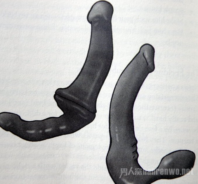 女同性恋等使用的器具