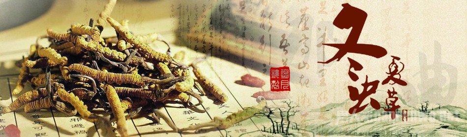 客户过年送礼送什么