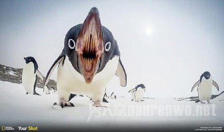 ſһ˲