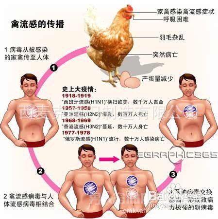 h5n6֢״