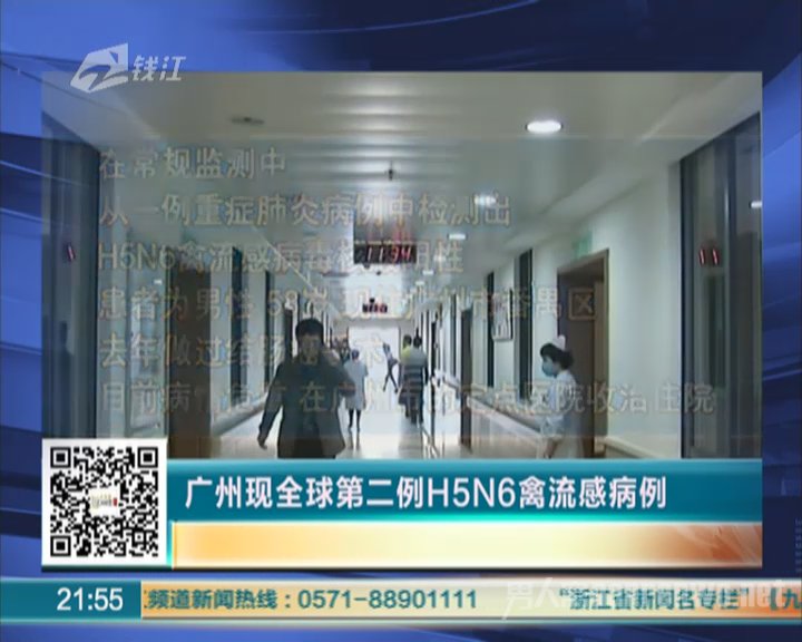 h5n6禽流感