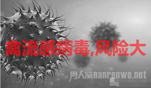 预防h5n6禽流感
