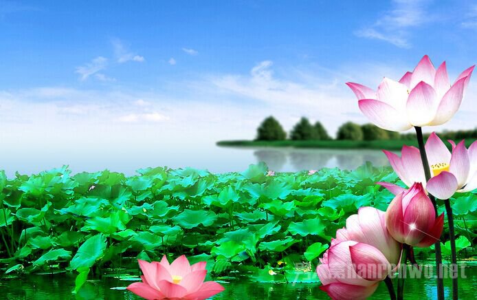 �й�ʮ�������ɻ�