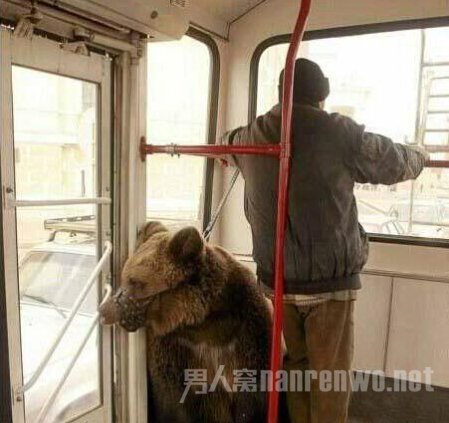 战斗民族的民风就是彪悍