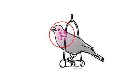 家养鸟儿要免疫