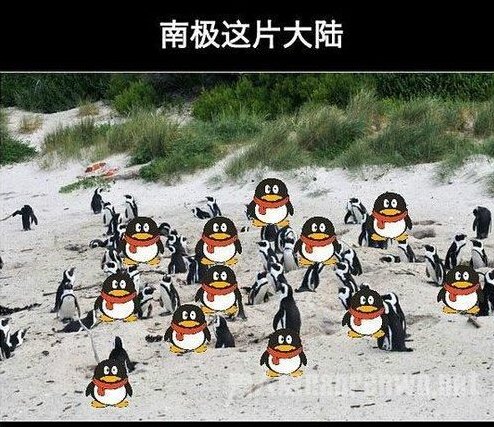 完全无法反驳