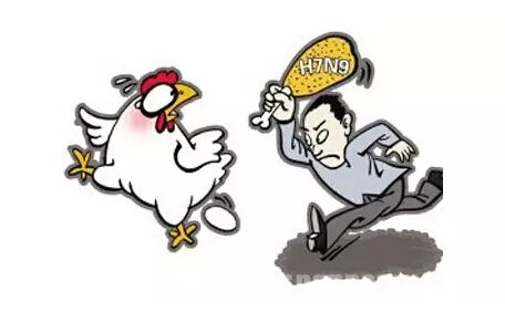 h7n9֢״ȫ