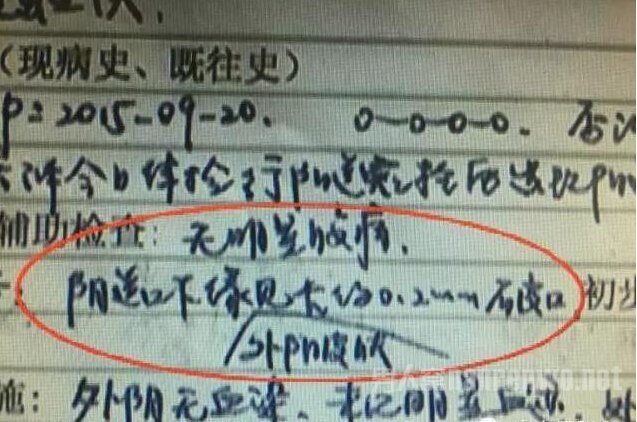 已婚项目