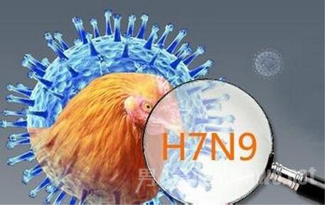 h7n9病原学