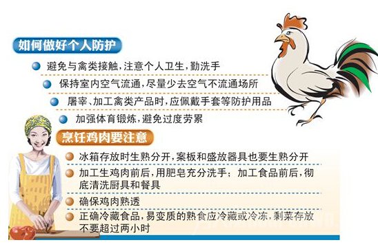 h7n9е֢״