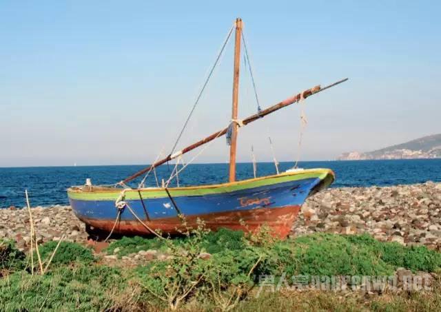 еԴӰЧ