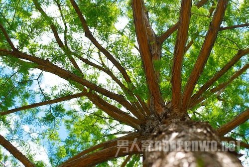 4个值得一试的练习 让摄影技术更上一层楼